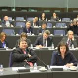 O slovenski tranziciji na delovni skupini Paneuropa