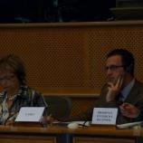 Odbor za kulturo v Evropskem parlamentu Odbor za kulturo v Evropskem parlamentu